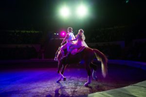 Riding a circus horse. Under the dome of the circus